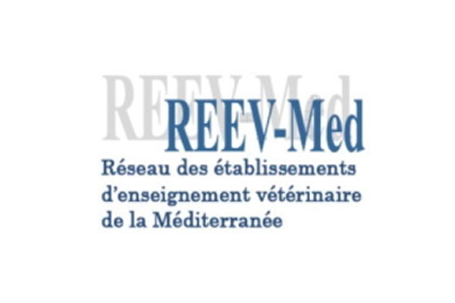 REEV-Med